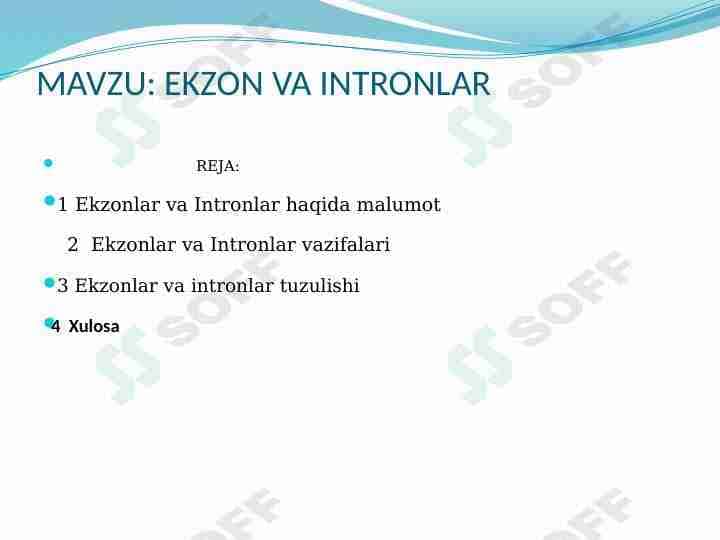 Ekzon va intronlar