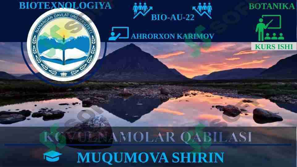 KOVULNAMOLAR QABILISI
