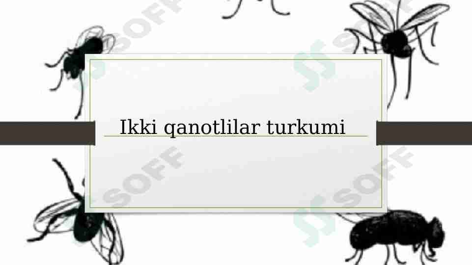 Ikki qanotlilar turkumi haqida.