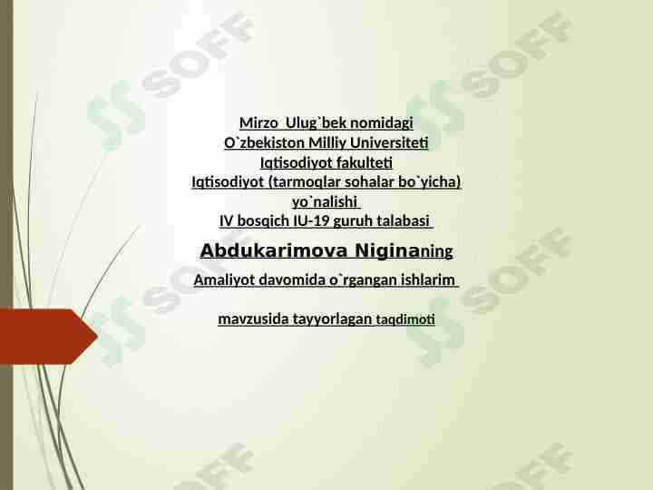 Amaliyot hisoboti. Xususiy korxonaning buxgalteriyasi, tashkiliy tuzilmasi