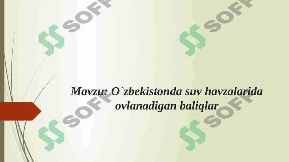 O`zbekistonda suv havzalarida ovlanadigan baliqlar