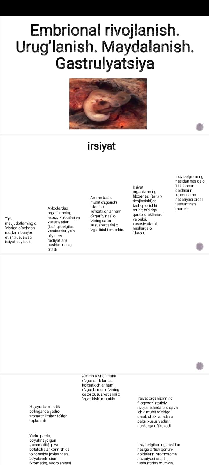 Embrional rivojlanish. Urug’lanish. Maydalanish. Gastrulyatsiya