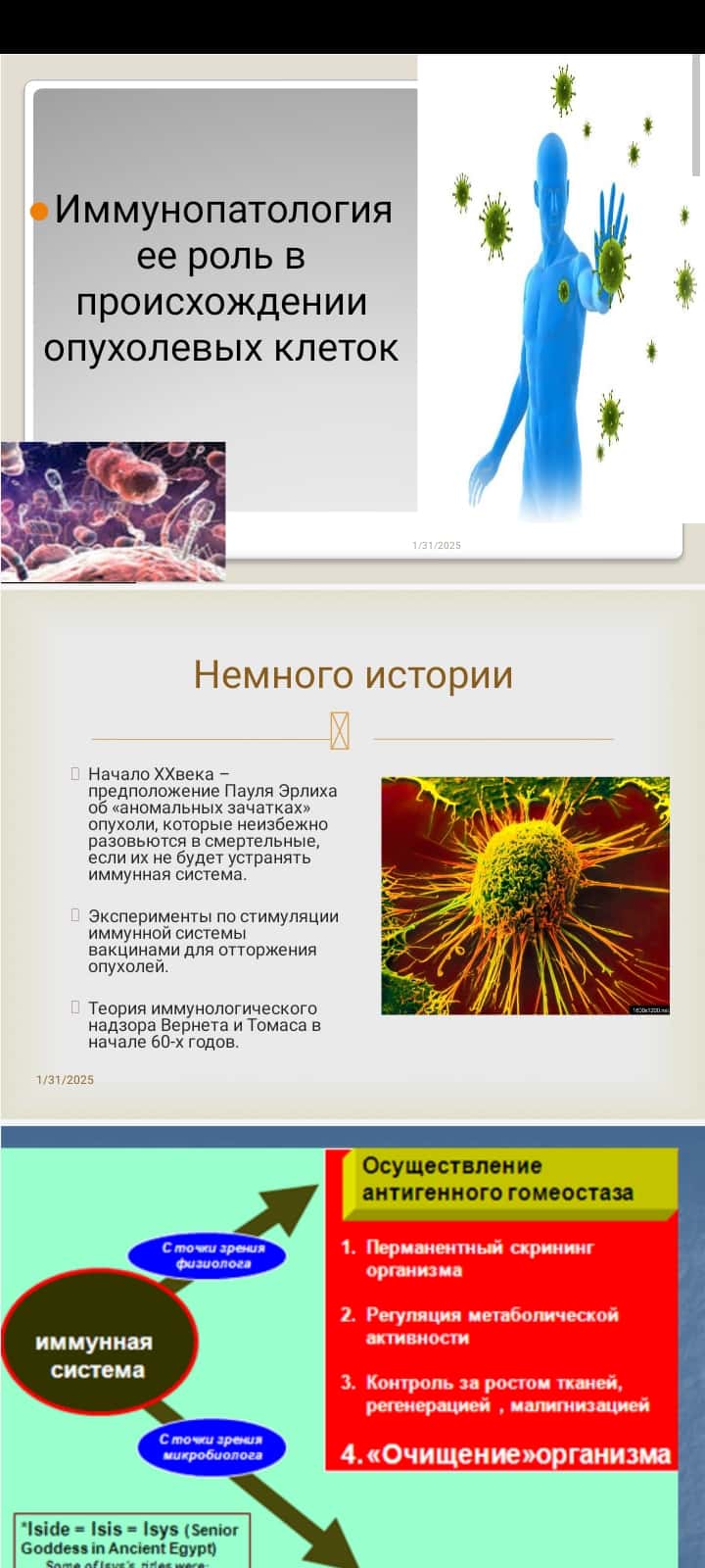 Иммунопатология ее роль в происхождении опухолевых клеток