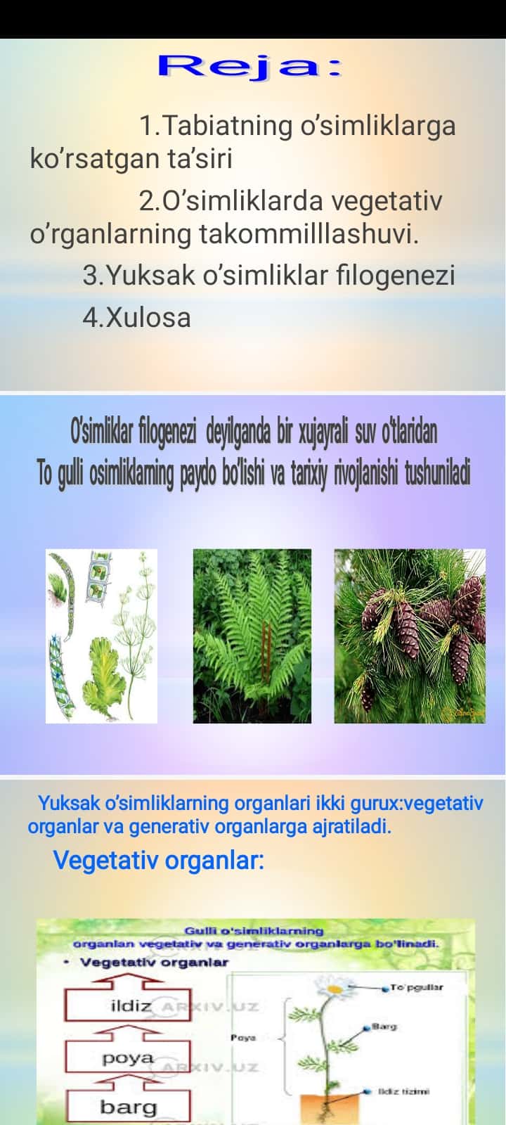 O’simliklar filogenezi. O’simliklarning vegetativ o’rganlari filogenezi