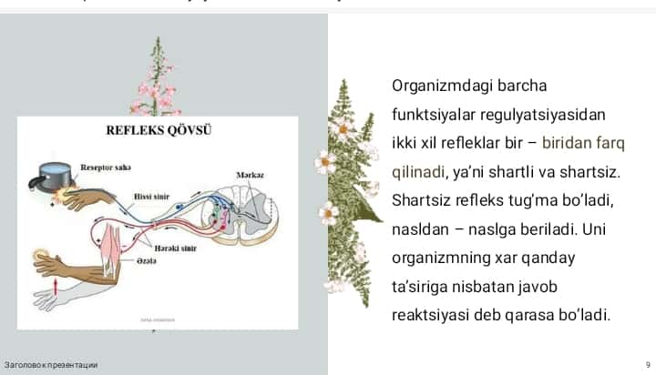Markaziy nerv sistemasining fiziologiyasi.