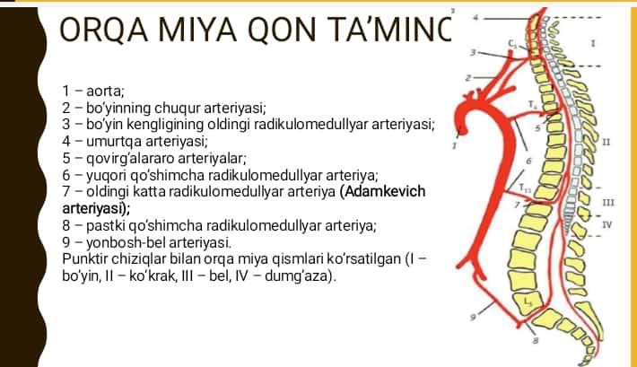 Orqa miyada qon aylanishini buzilishi