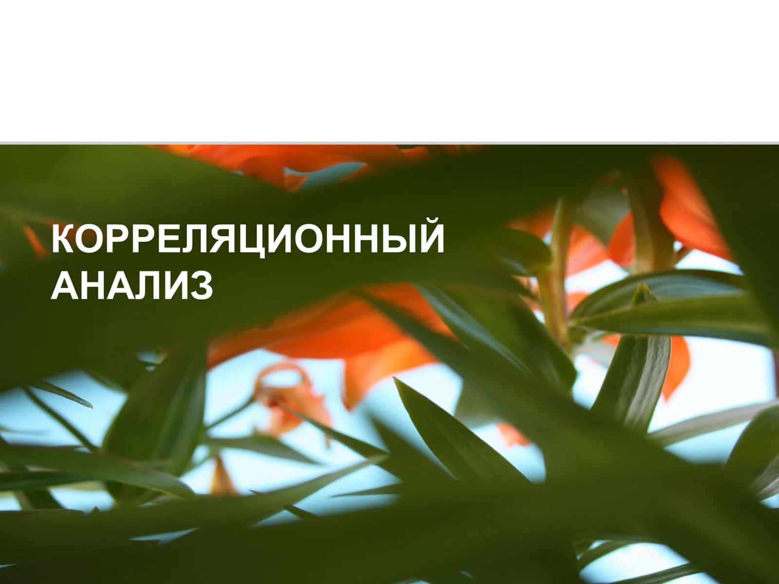 КОРРЕЛЯЦИОННЫЙ АНАЛИЗ
