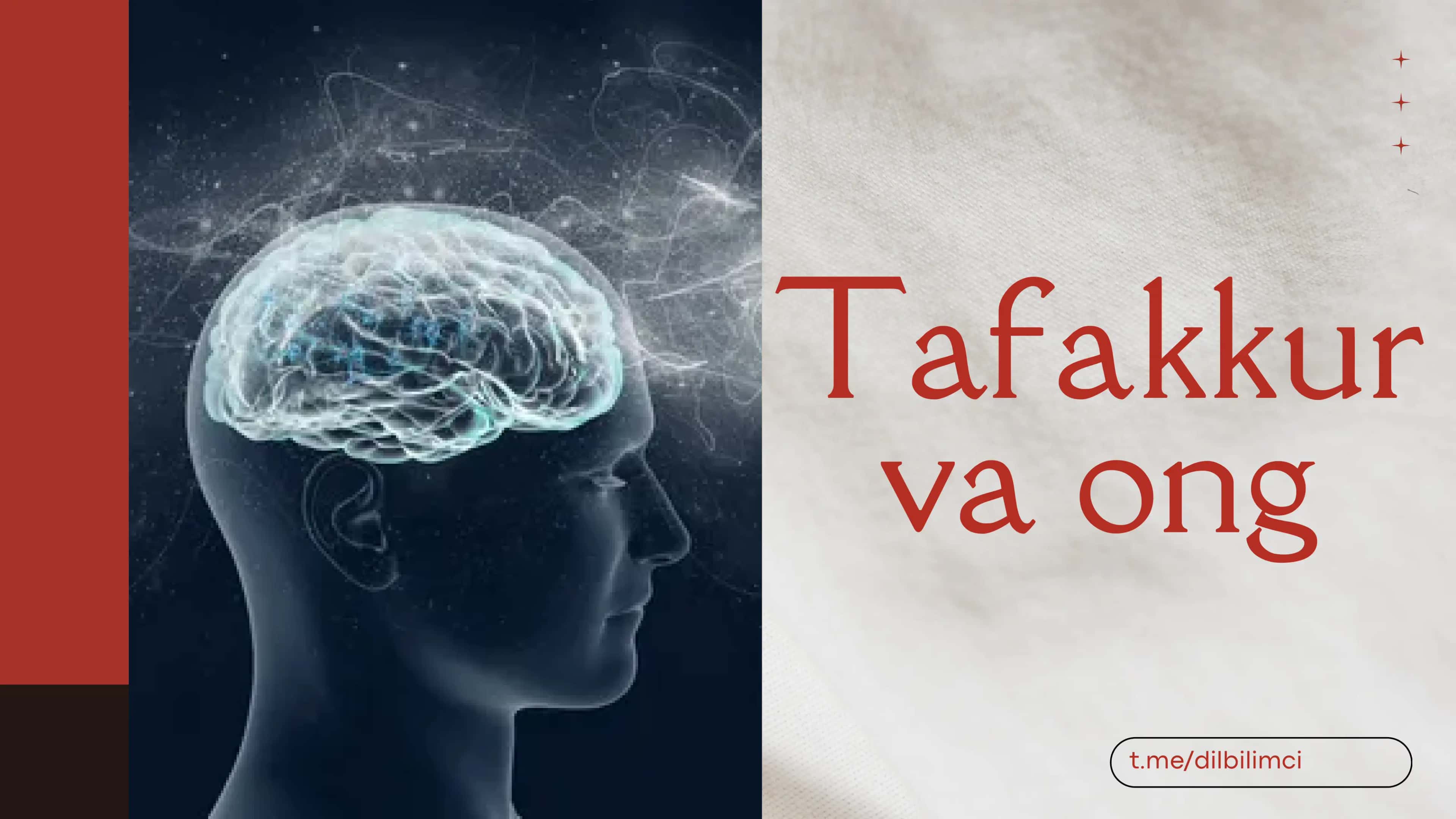 Tafakkur va ong