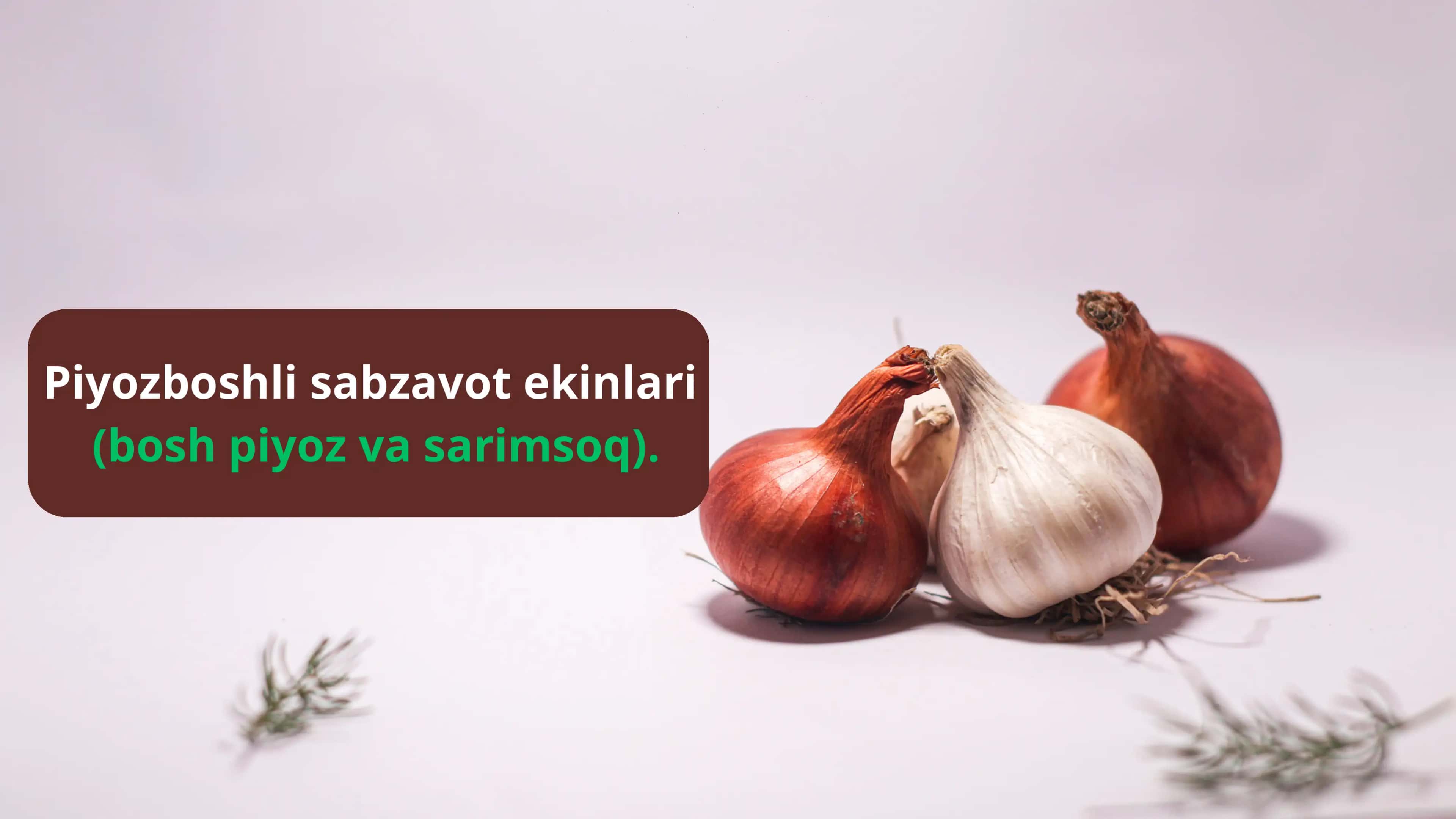 Piyozboshli sabzavot ekinlari