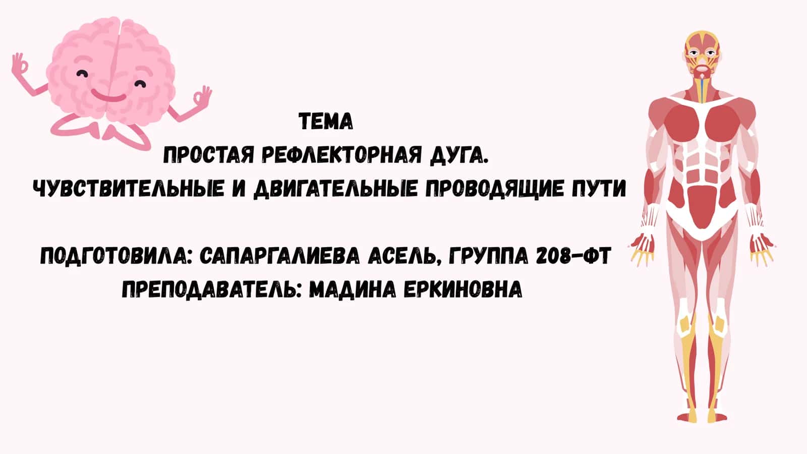 Простая рефлекторная дуга