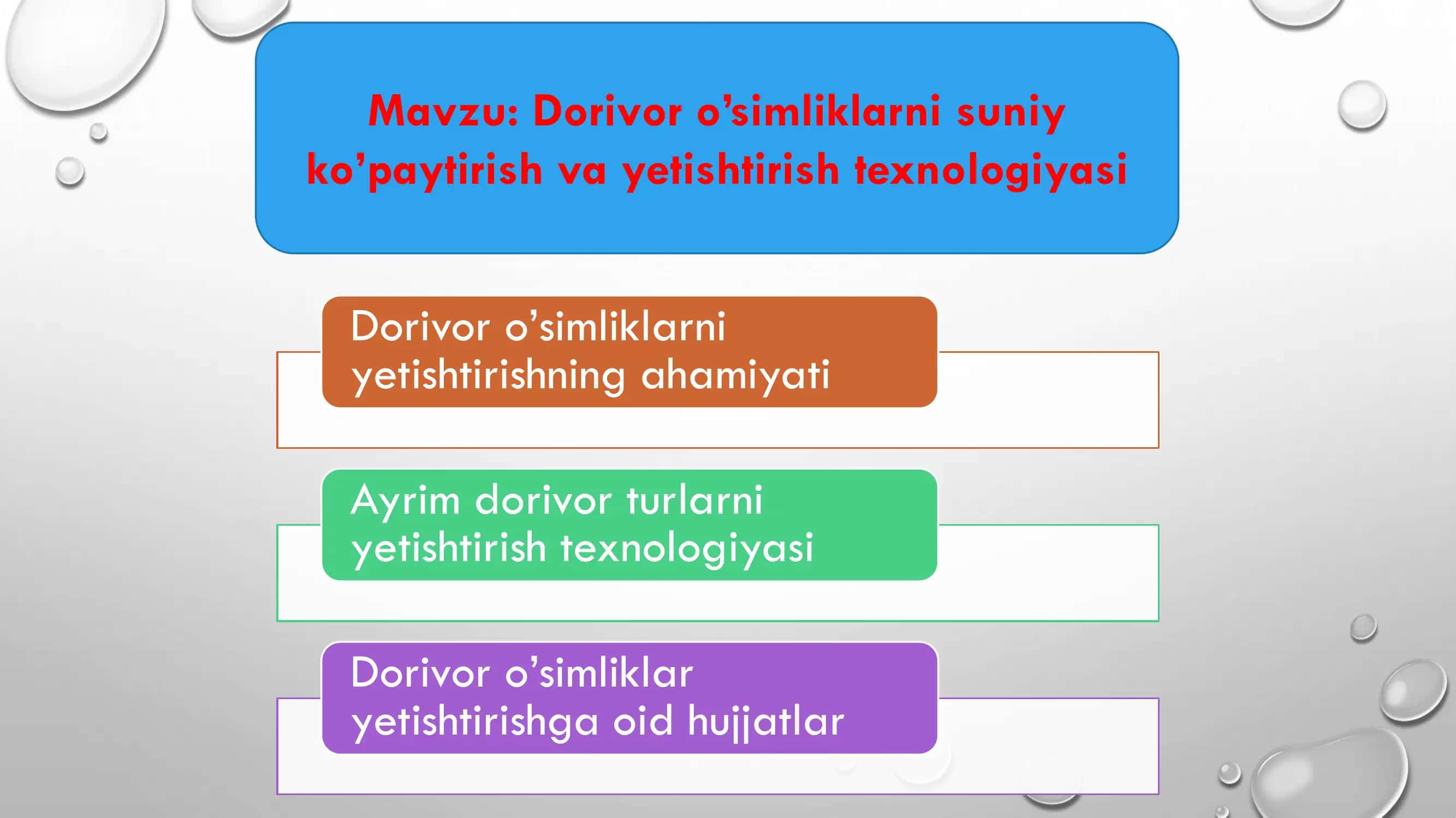 Dorivor o’simliklarni suniy ko’paytirish va yetishtirish texnologiyasi