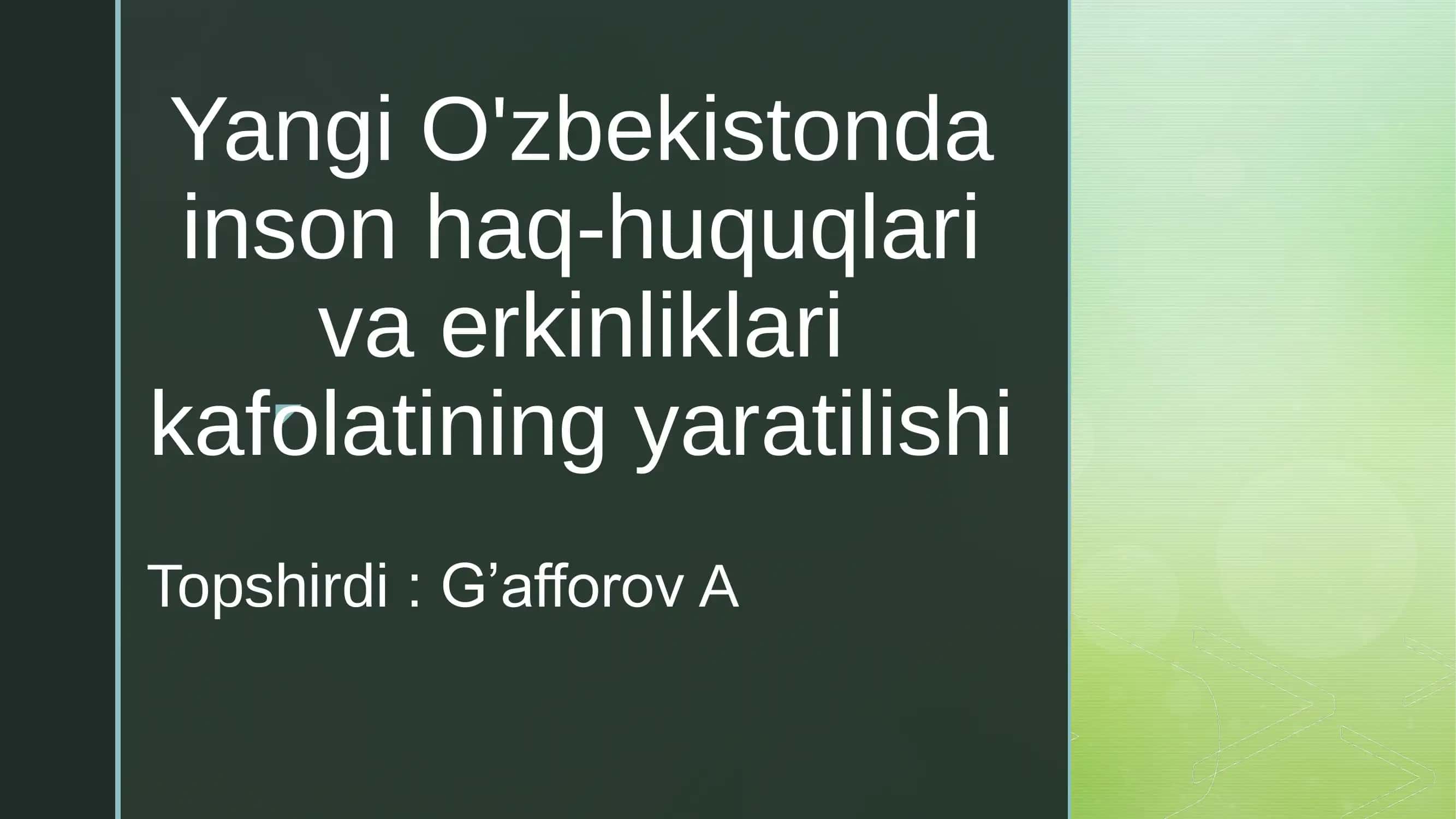 Yangi O'zbekistonda inson haq-huquqlari va erkinliklari kafolatining yaratilishi