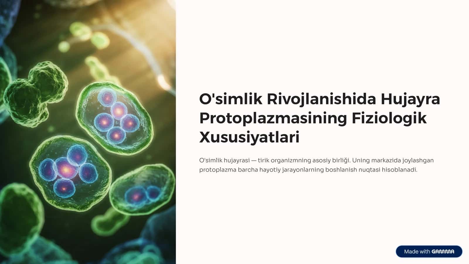 O'simlik Rivojlanishida Hujayra Protoplazmasining Fiziologik Xususiyatlari
