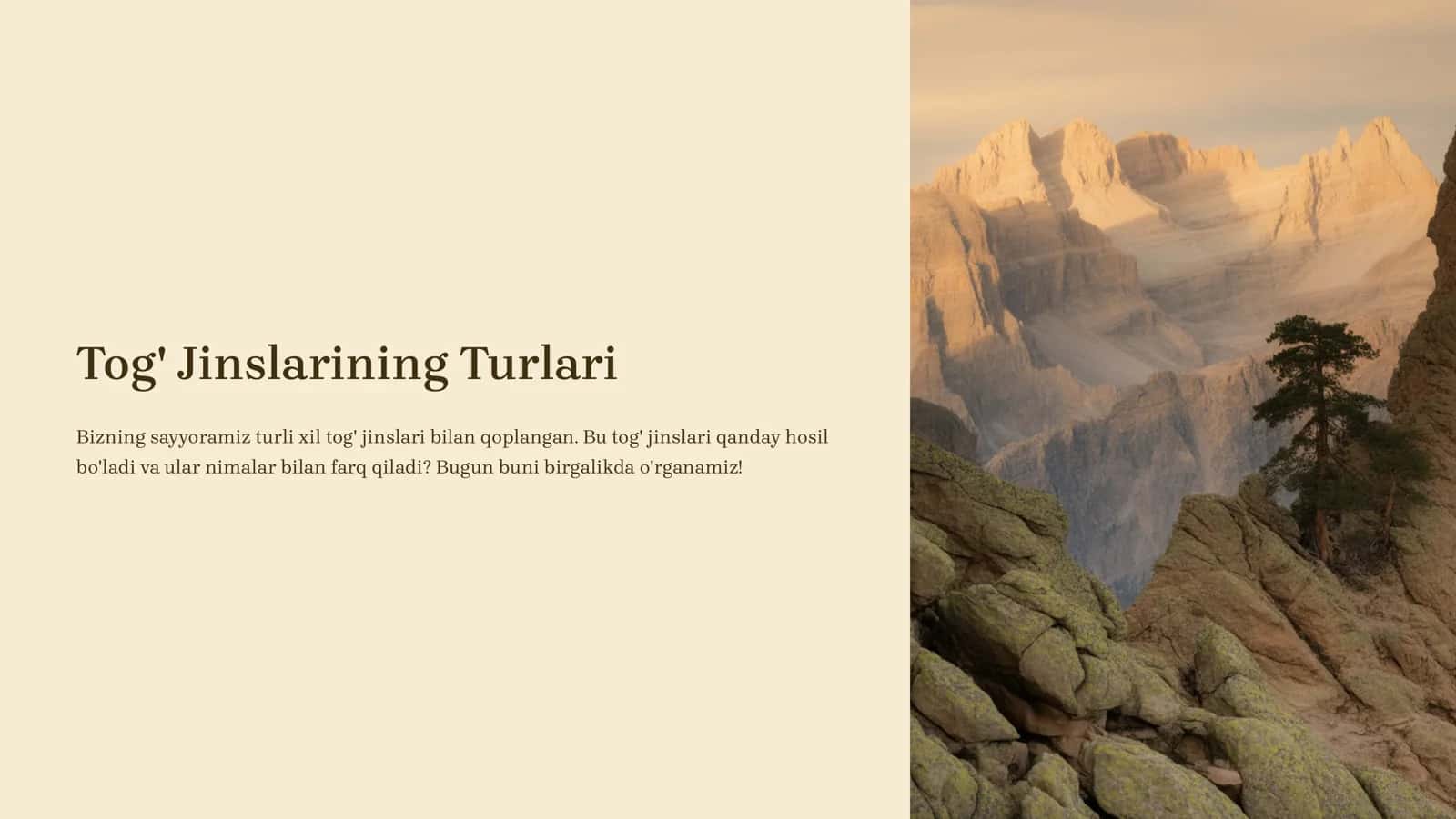Tog' Jinslarining Turlari