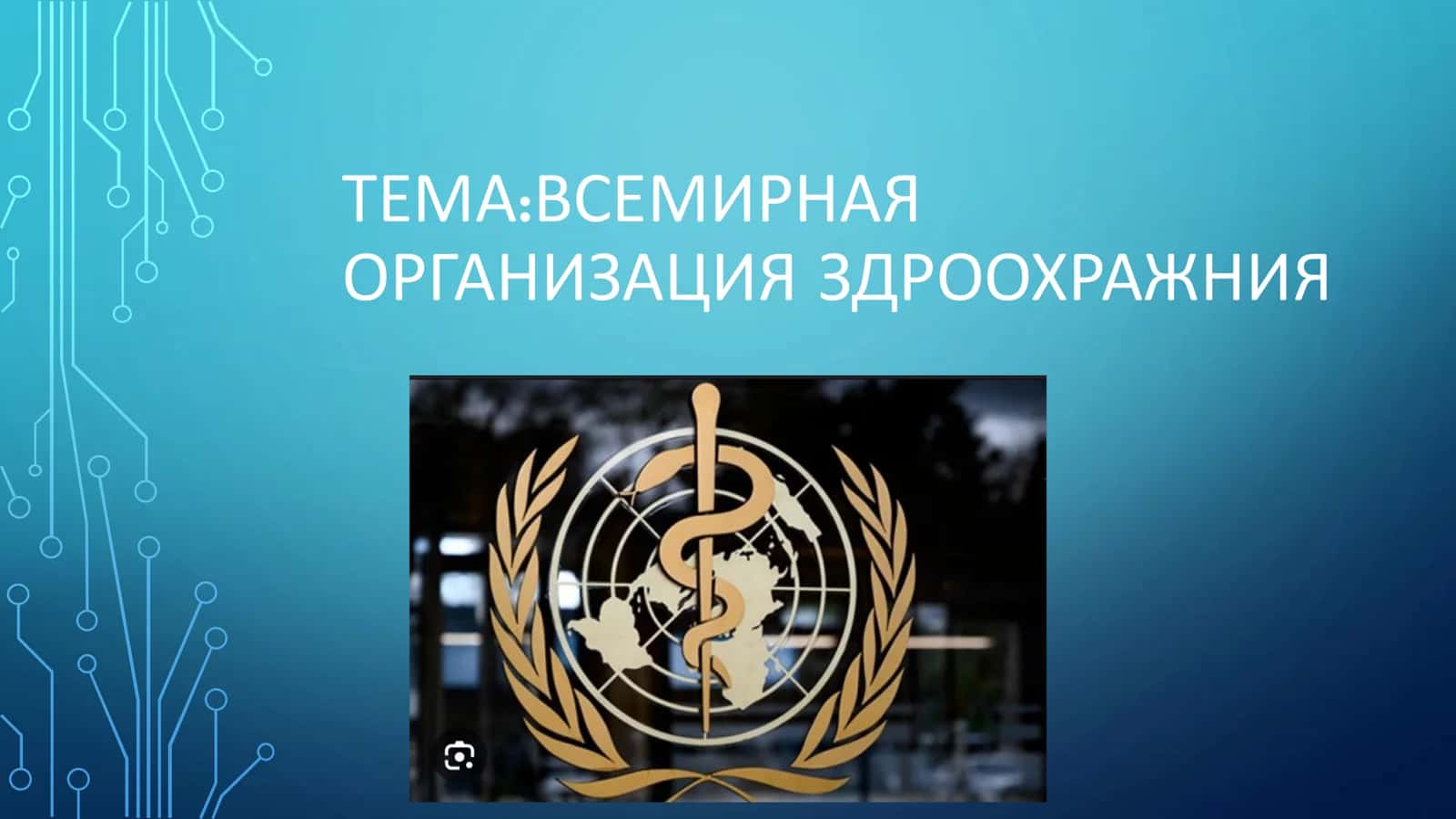 ВСЕМИРНАЯ ОРГАНИЗАЦИЯ ЗДРАВООХРАНЕНИЯ (ВОЗ)