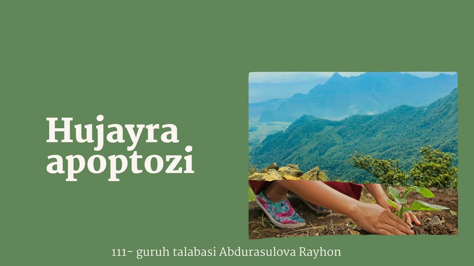 Hujayra apoptozi