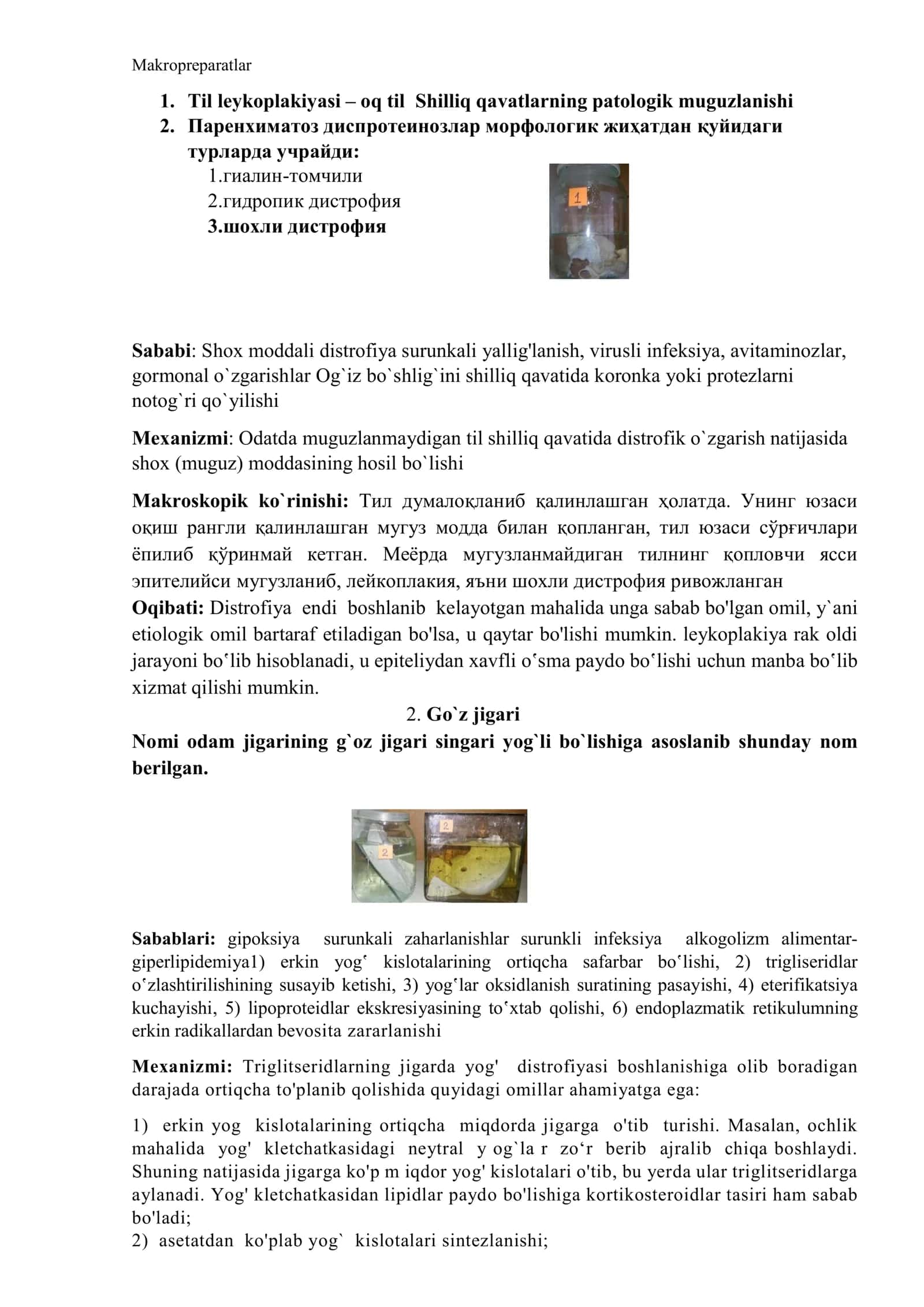 Makropreparatlar