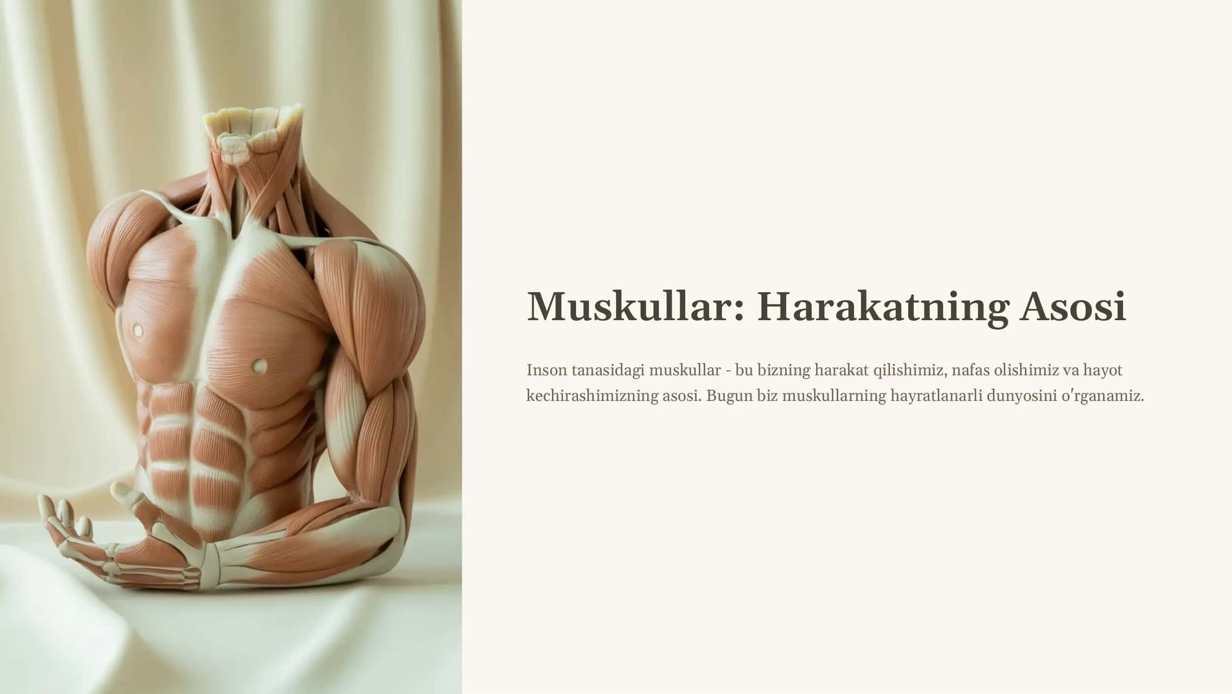 Muskullar: Harakatning Asosi