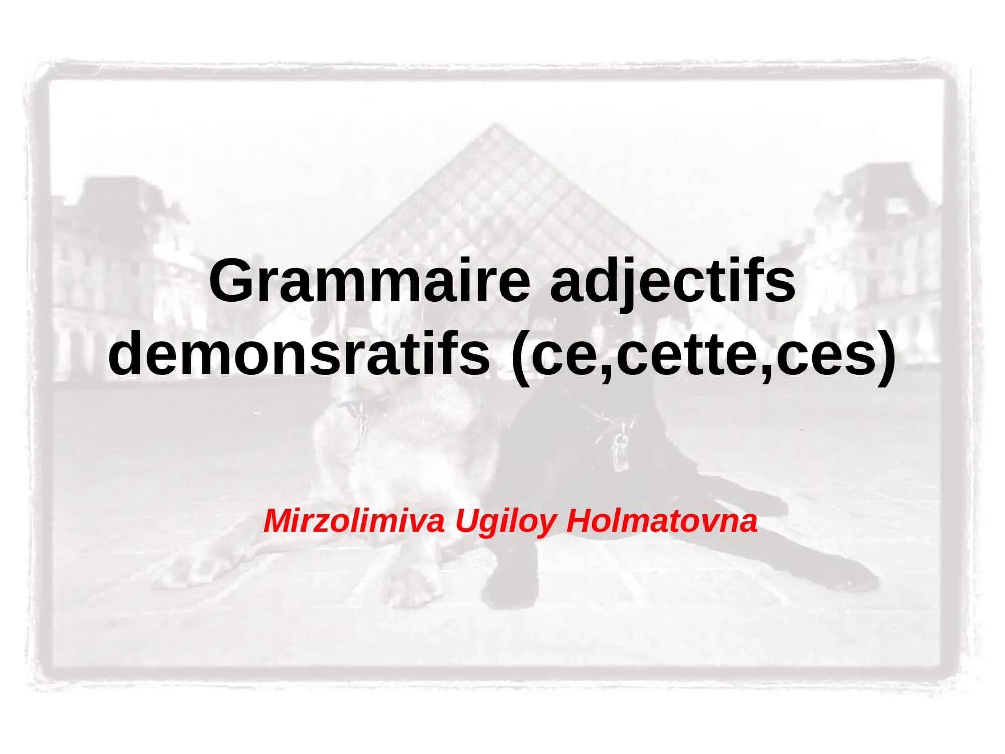 Grammaire adjectifs demonsratifs (ce,cette,ces)