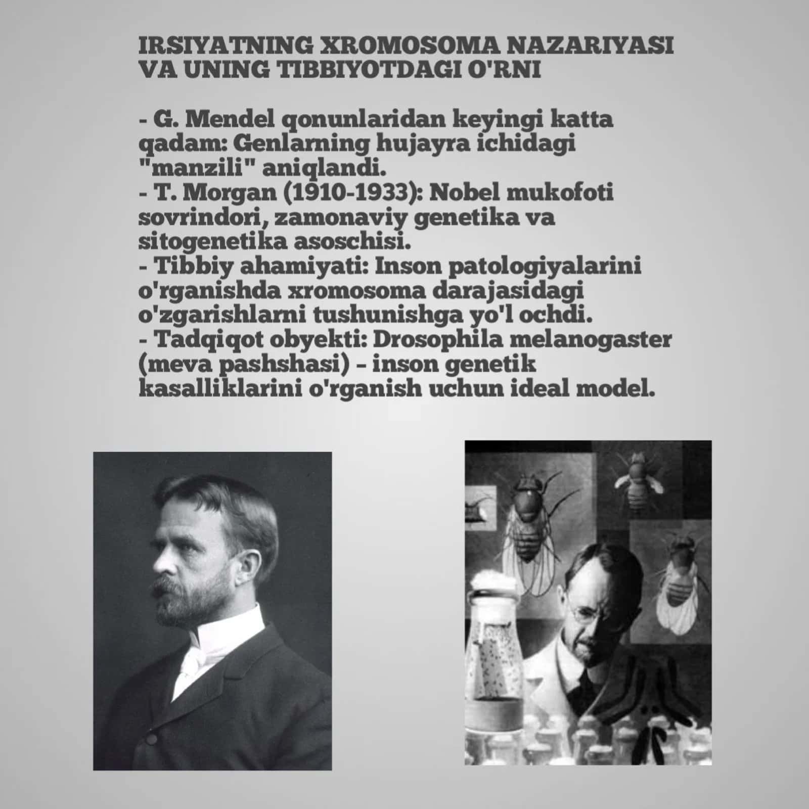Morganning xromosoma nazariyasi va uning tibbiyotdagi o'rni