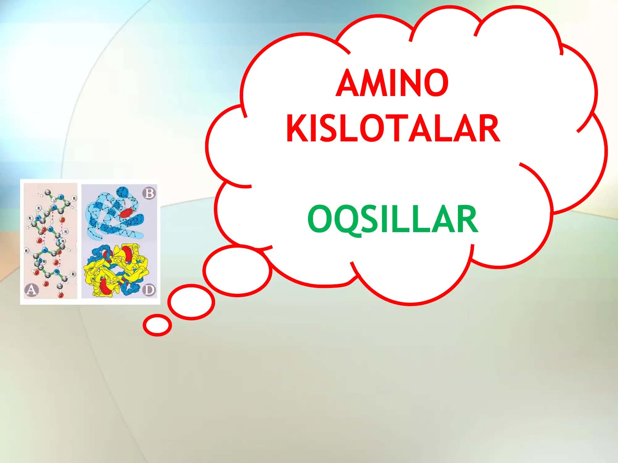 AMINO KISLOTALAR VA OQSILLAR