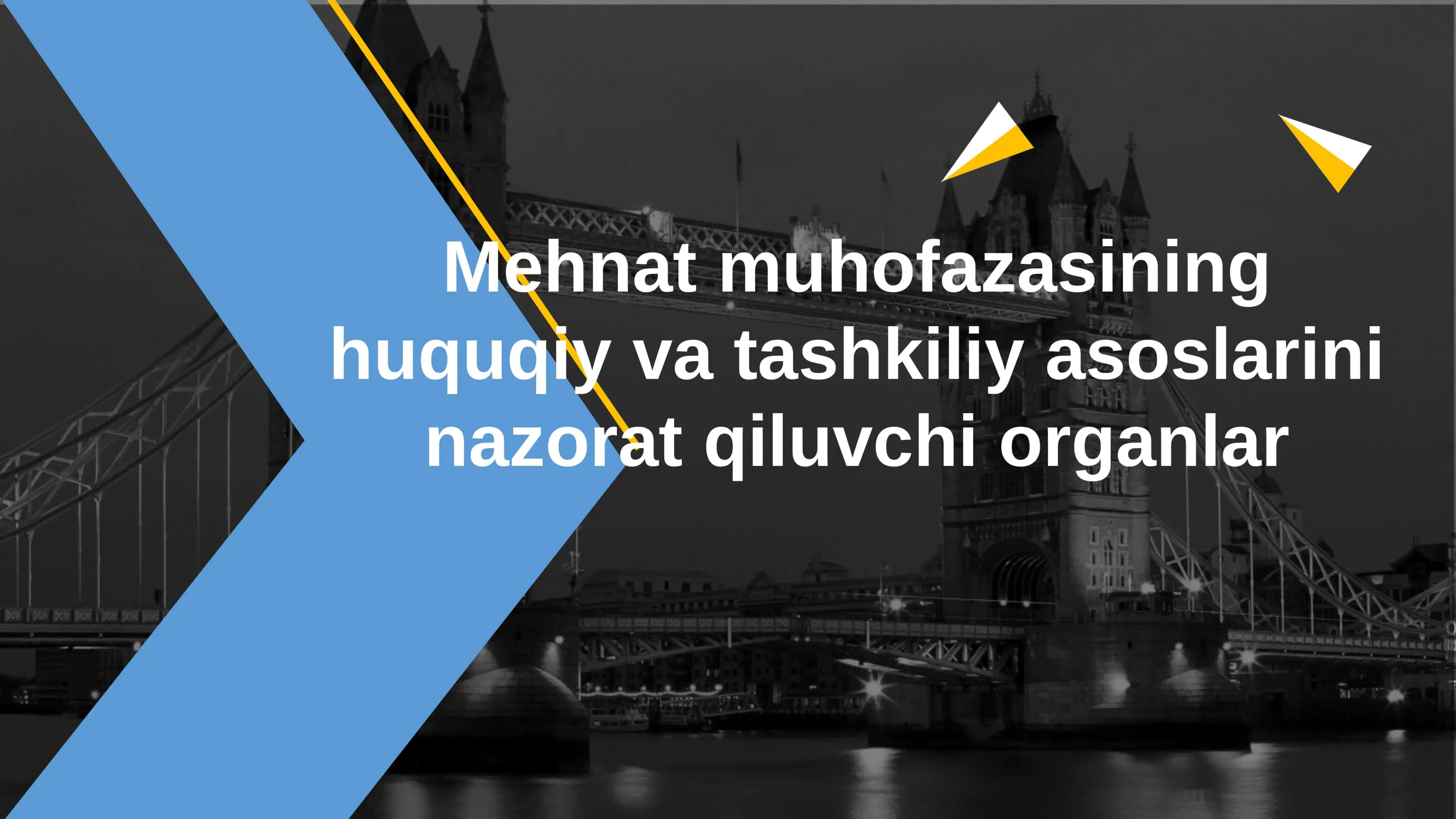 Mehnat muhofazasining huquqiy va tashkiliy asoslarini nazorat qiluvchi organlar