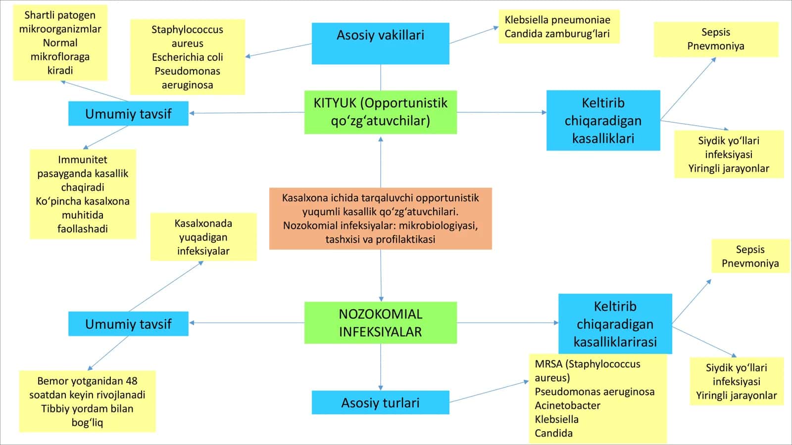 Nozokomial infeksiyalar: mikrobiologiyasi, tashxisi va profilaktikasi