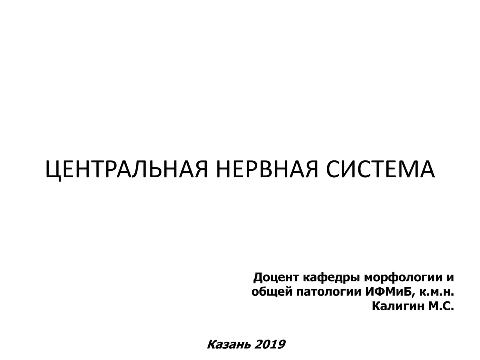 Центральная Нервная Система