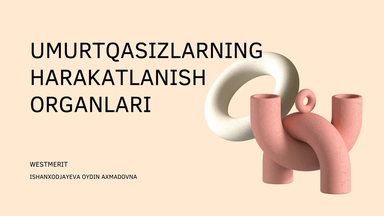 UMURTQASIZLARNING HARAKATLANISH ORGANLARI