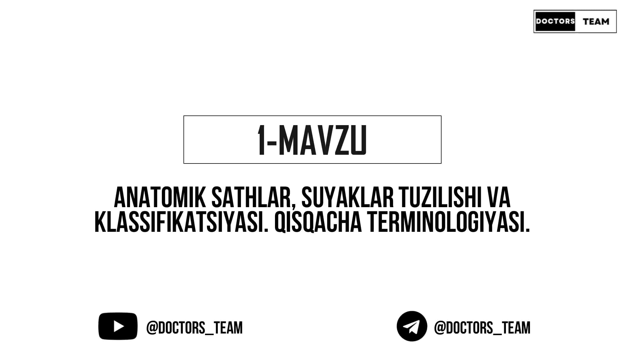 Anatomiyada 3 ta sath mavjud