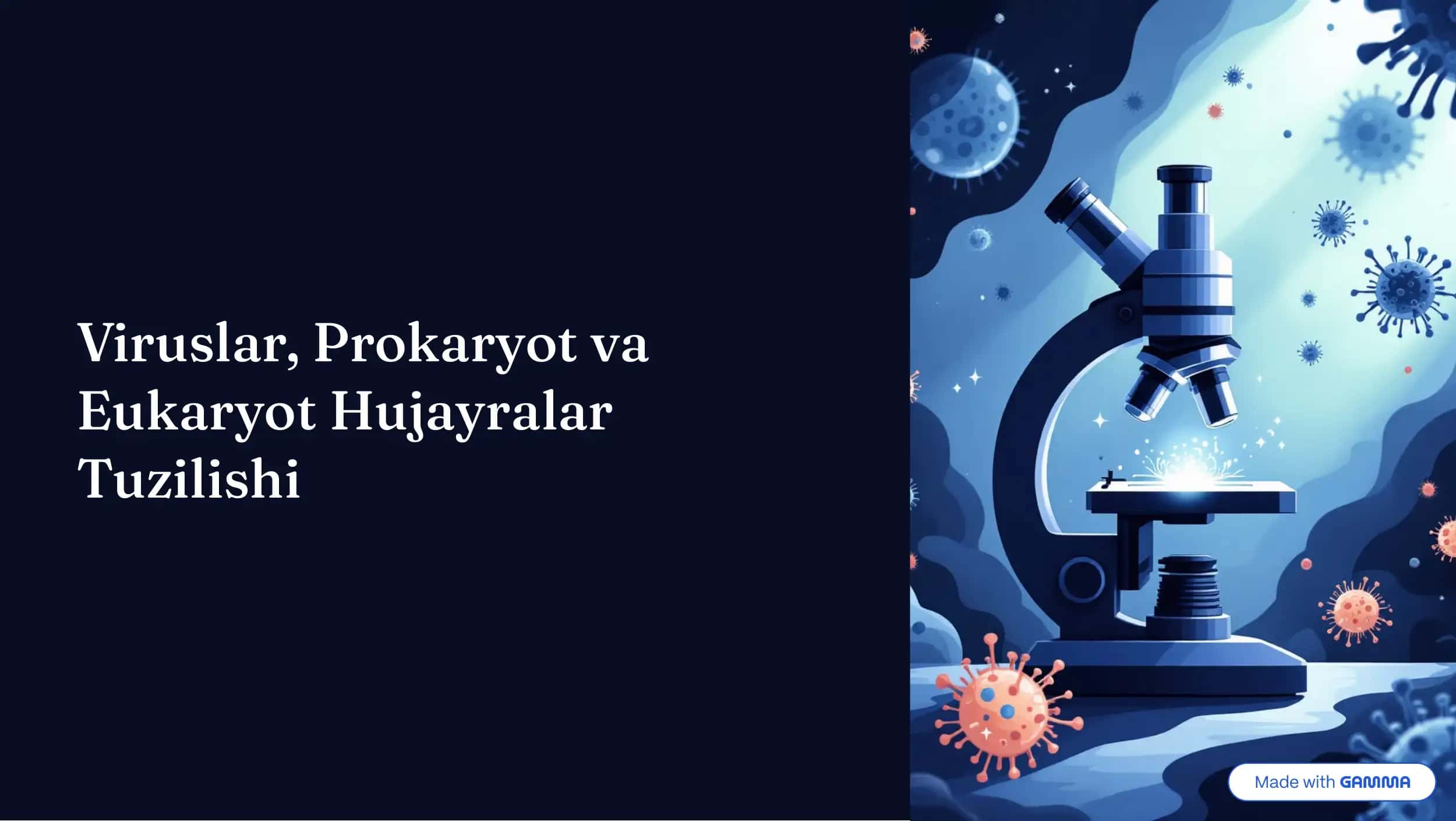Viru4lar, Prokaryot va Eukaryot Hujayralar