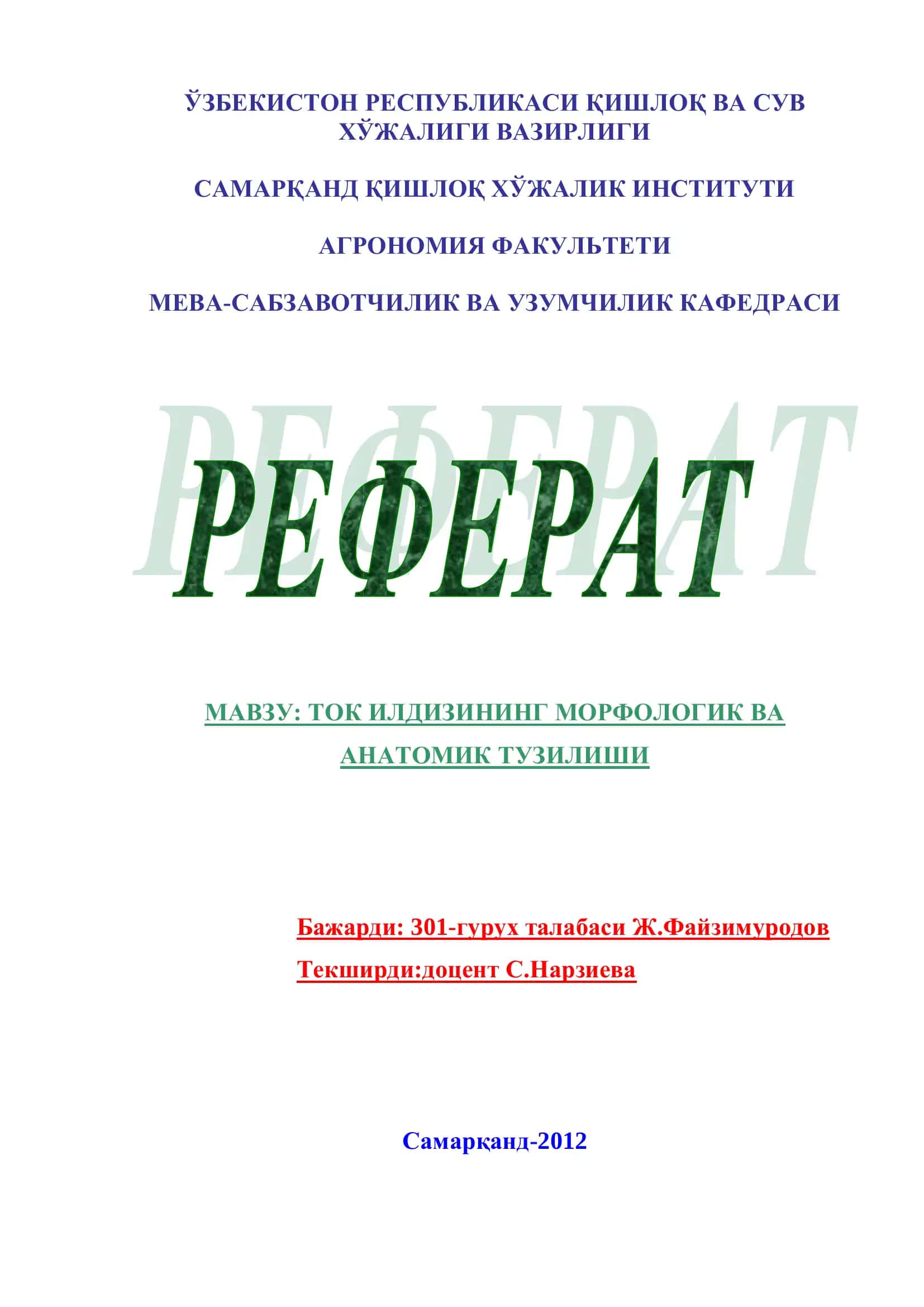 Ток илдизининг морфологик ва анатомик тузилиши