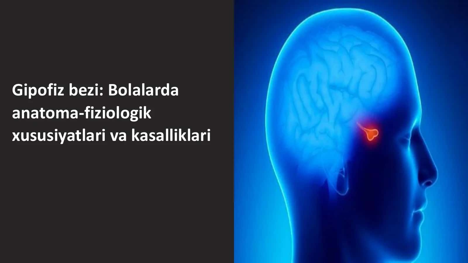 Gipofiz bezi: Bolalarda anatoma-fiziologik xususiyatlari va kasalliklari