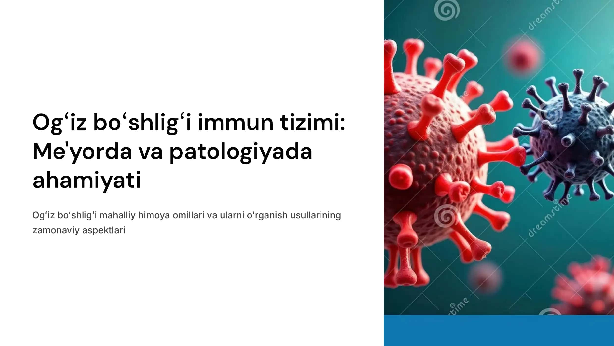 Me'yorda va patologiyada ogʻiz boʻshligʻi immun tizimining ahamiyati. Ogʻiz boʻshligʻi mahalliy himoya omillari va ularni oʻrganish usullari.