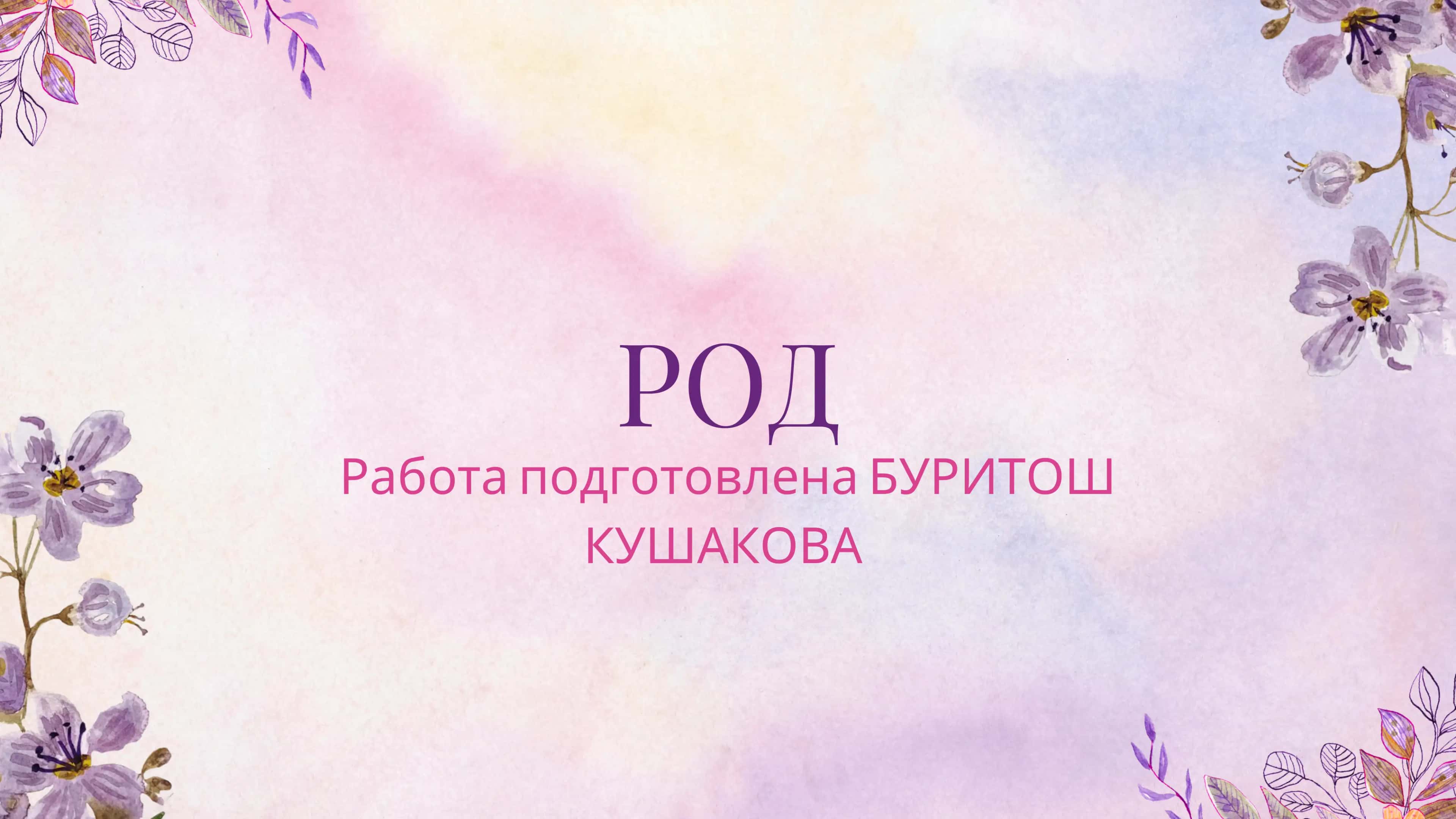 Род имён существительных