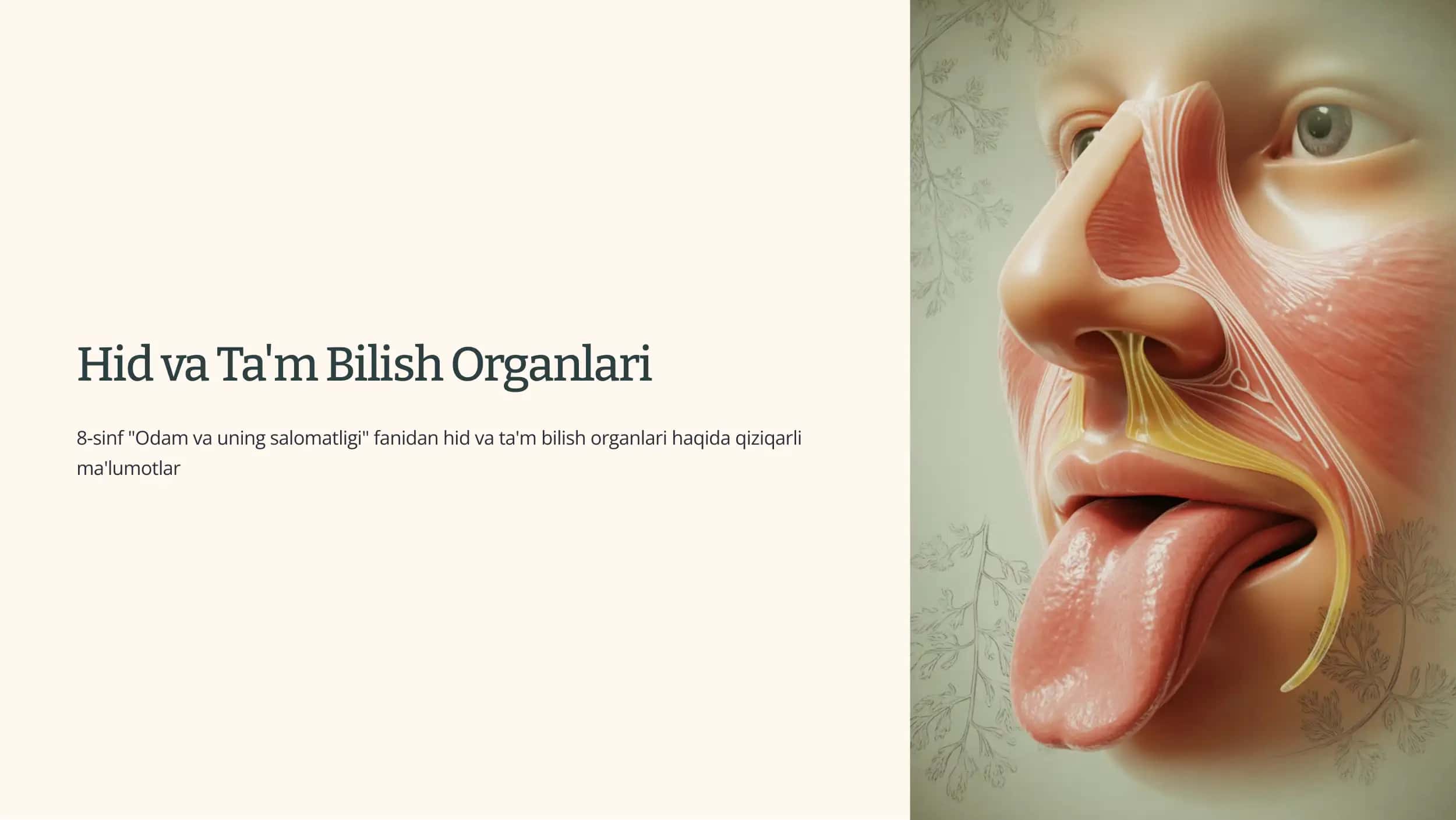 Hid va Ta'm Bilish Organlari