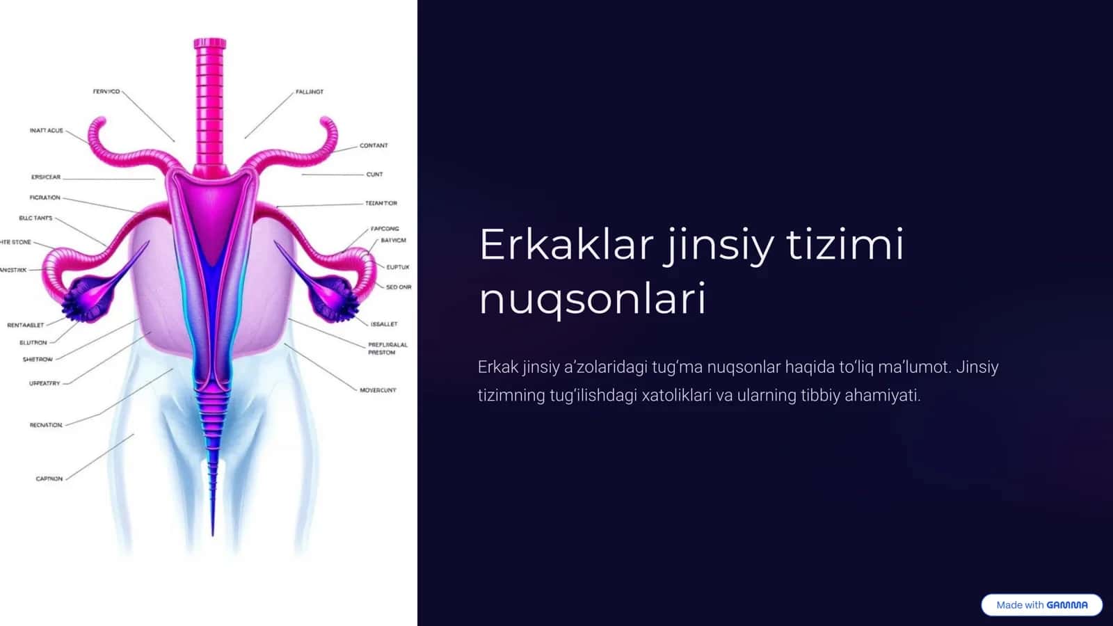 Erkaklar jinsiy tizimi nuqsonlari