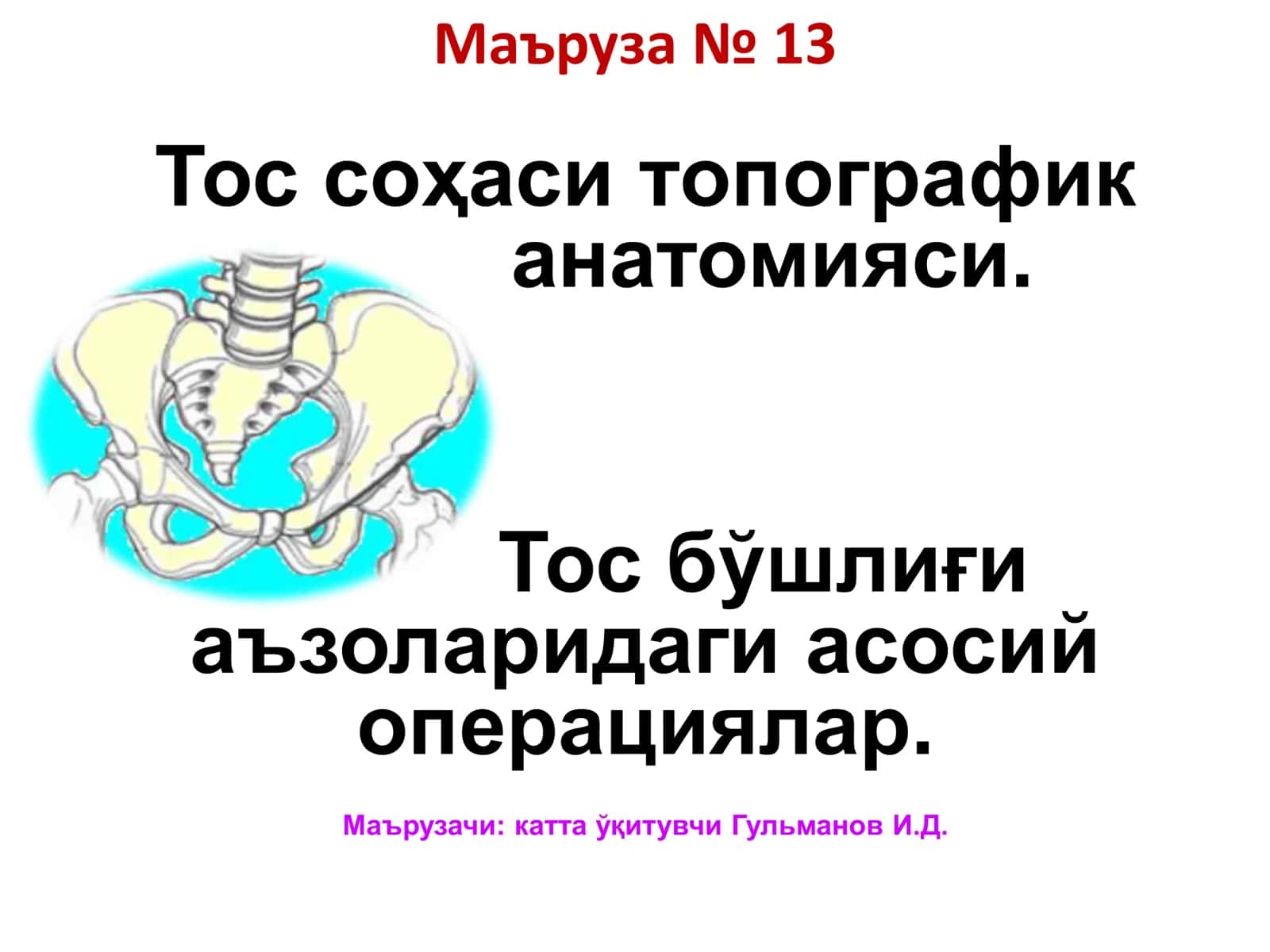 Топографик анатомияси