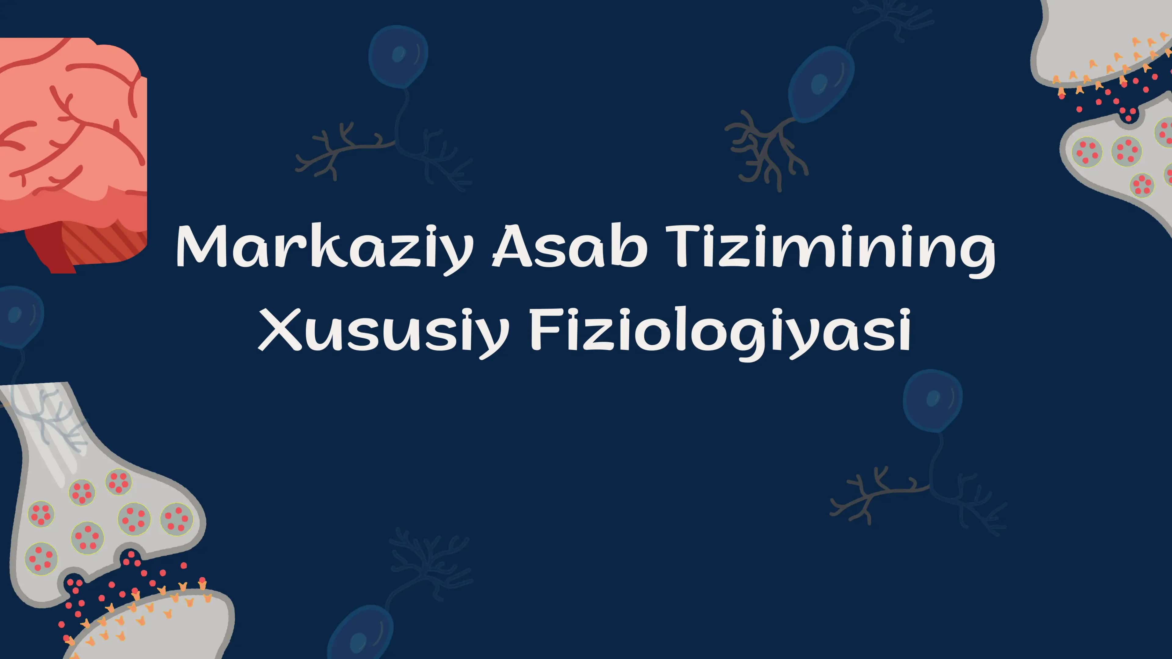 Markaziy asab tizimining xususiy Fiziyalogiyasi