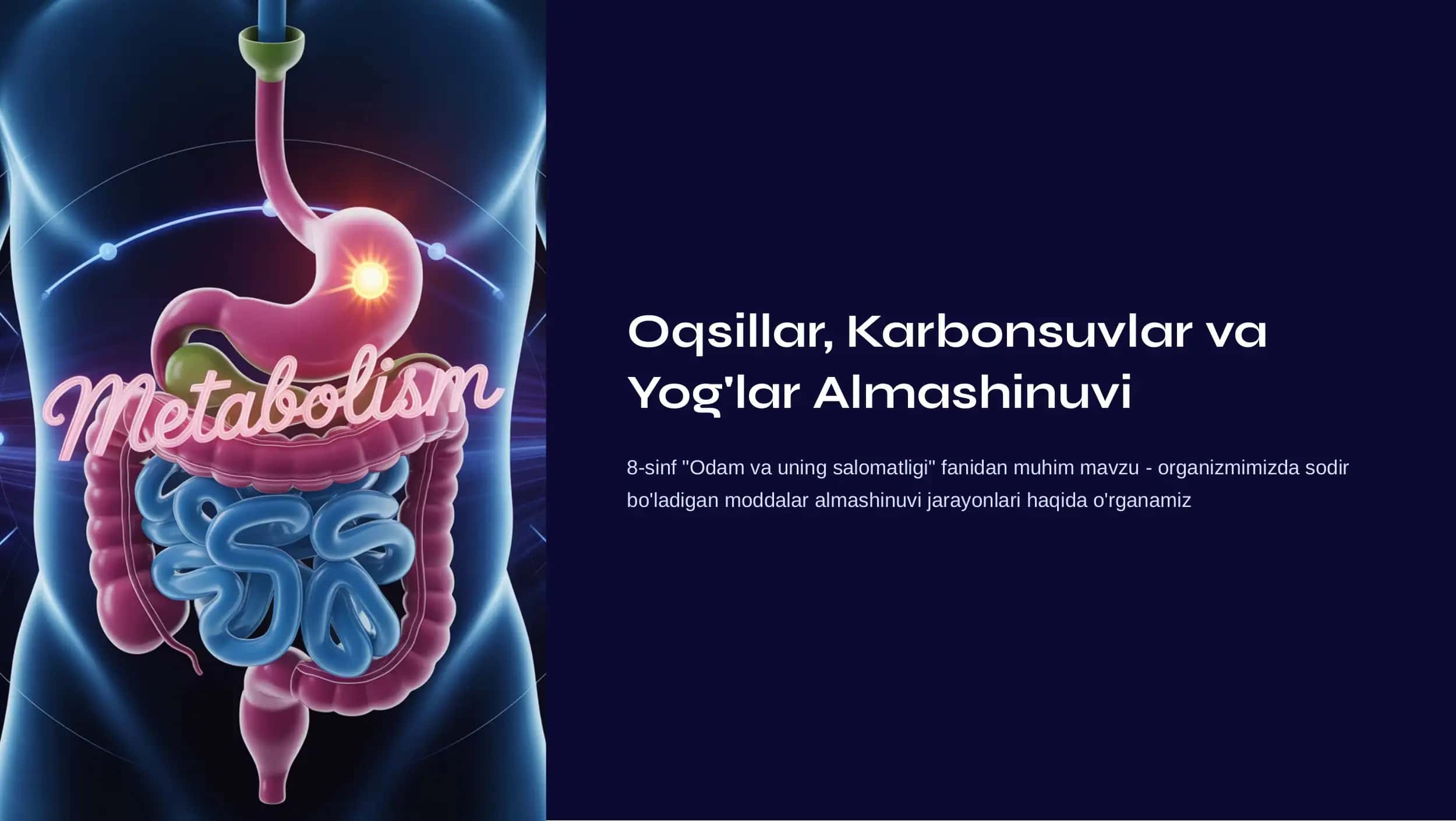 Oqsillar, Karbonsuvlar va Yog'lar Almashinuvi