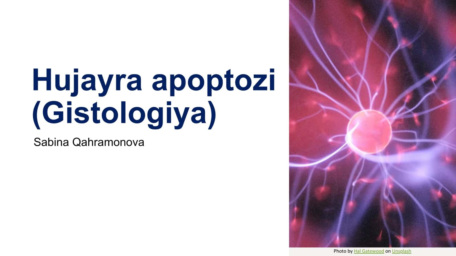 Hujayra apoptozi (Gistologiya)