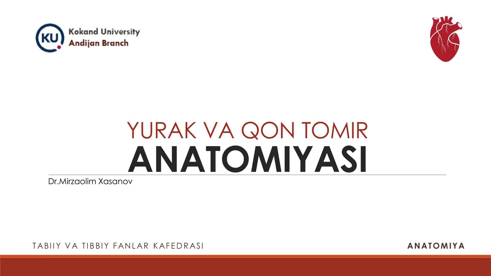 YURAK VA QON TOMIR ANATOMIYASI