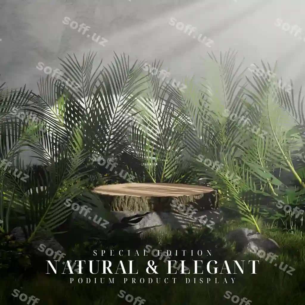 Tabiiy chiroyli bog' xona mezon mahsulot namoyish | Natural elegant garden room podium product display