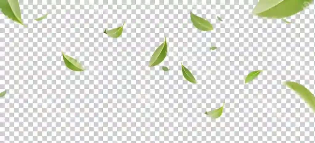 Parvoz aylanma yashil choy yaproqlari havo bilan shaffof fonda png | Flying whirl green tea leaves air with transparent background png