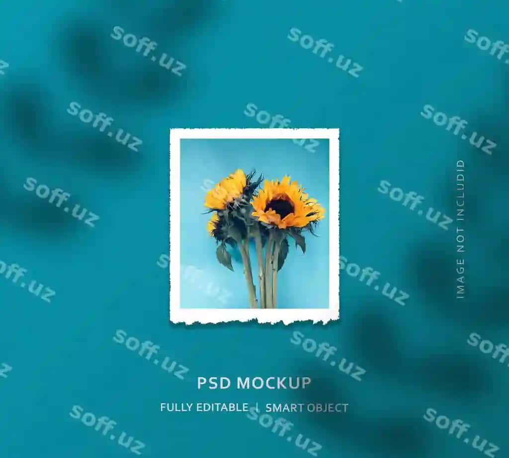 Qizil gul foto ramka namuna dizayni | Sunflower photo frame mockup design