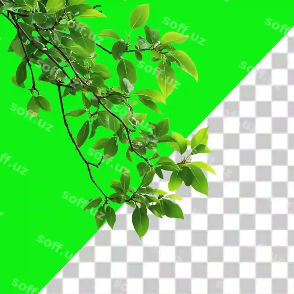 Tabiat psd png | Nature psd png