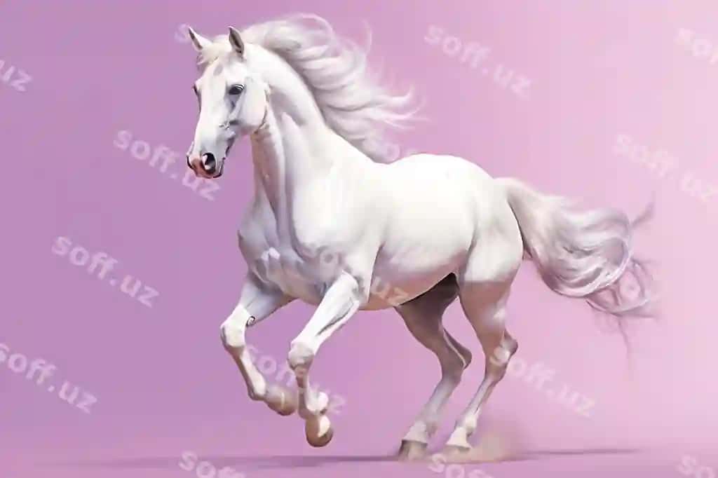 Oq at uzun soch bilan yug'rayotgan | White horse running with long mane