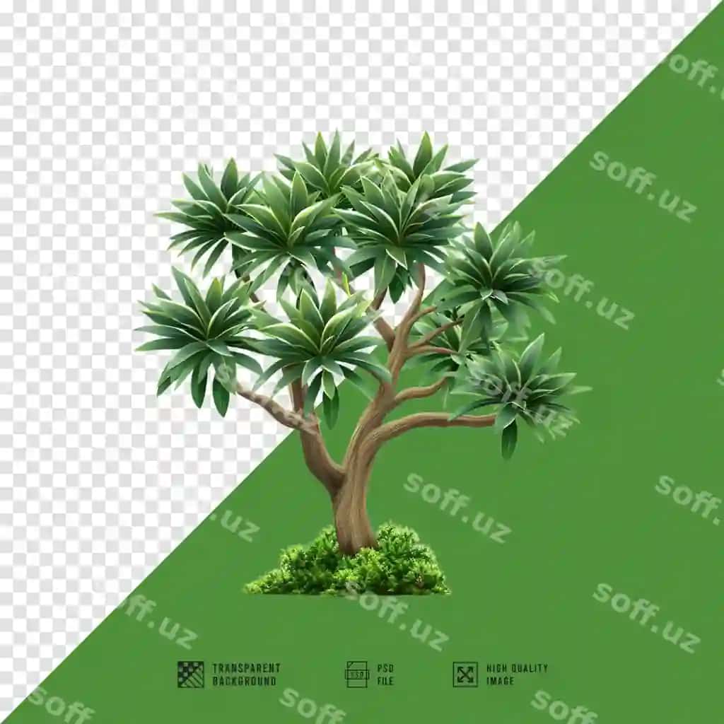 Rasm daraxt yashil fon bilan | Picture tree with green background
