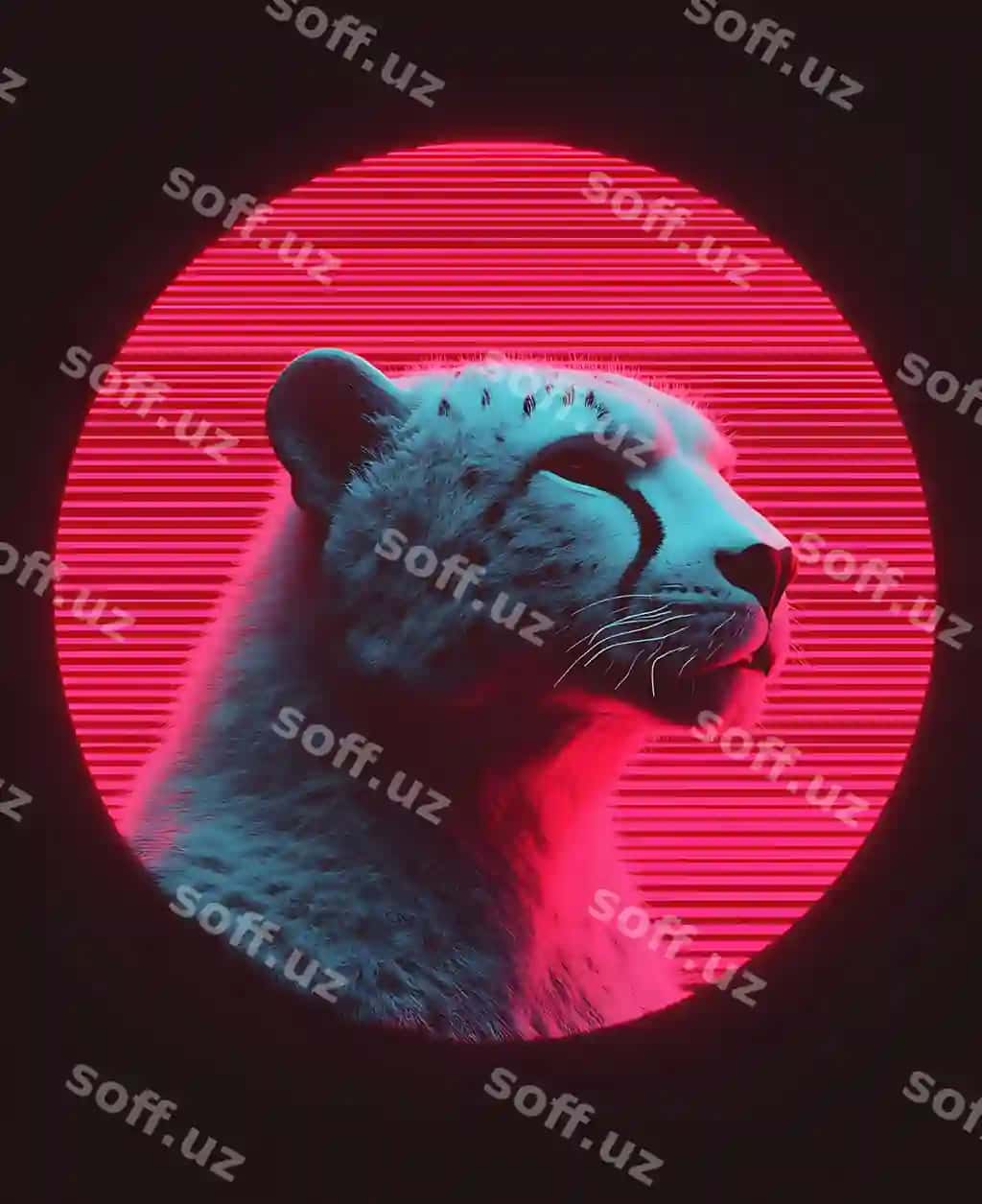 Arafed rasm gepard qizil doira | Arafed image cheetah red circle
