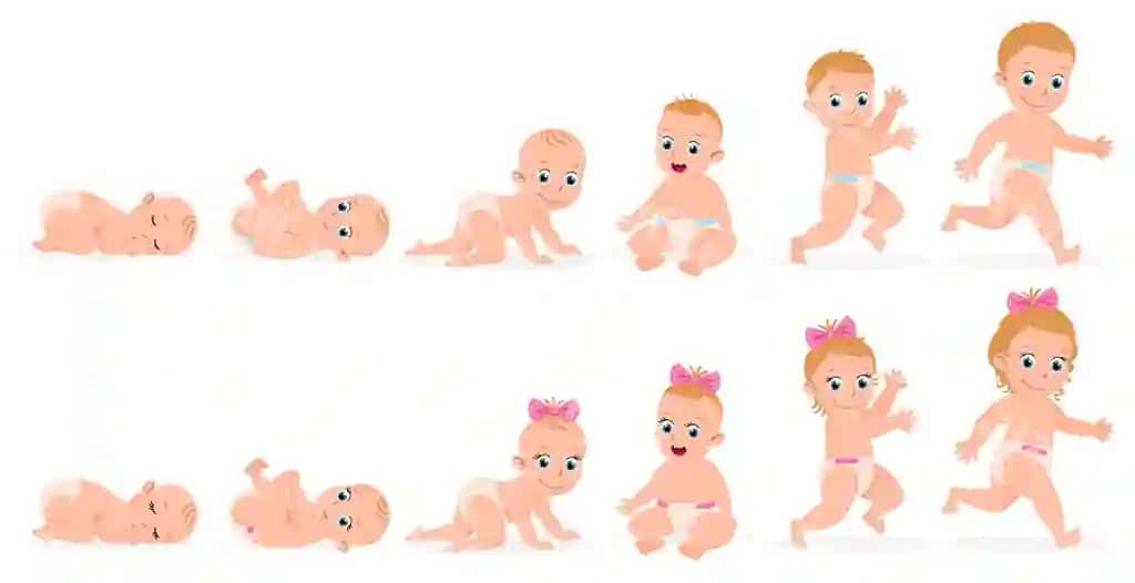 Birinchi yil bolaning vaqt-chiziqlari o'g'il bola, qiz bola birinchi yil rivojlanishi dan boshlab | First year baby timeline baby boy girl first year development from